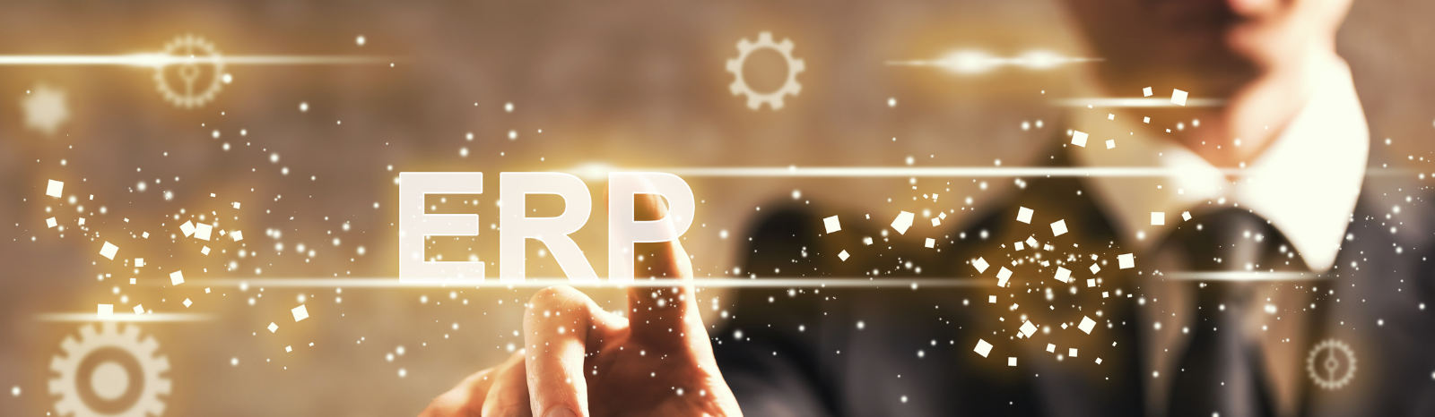 ERP for Supplier Order Management and Procurement Management