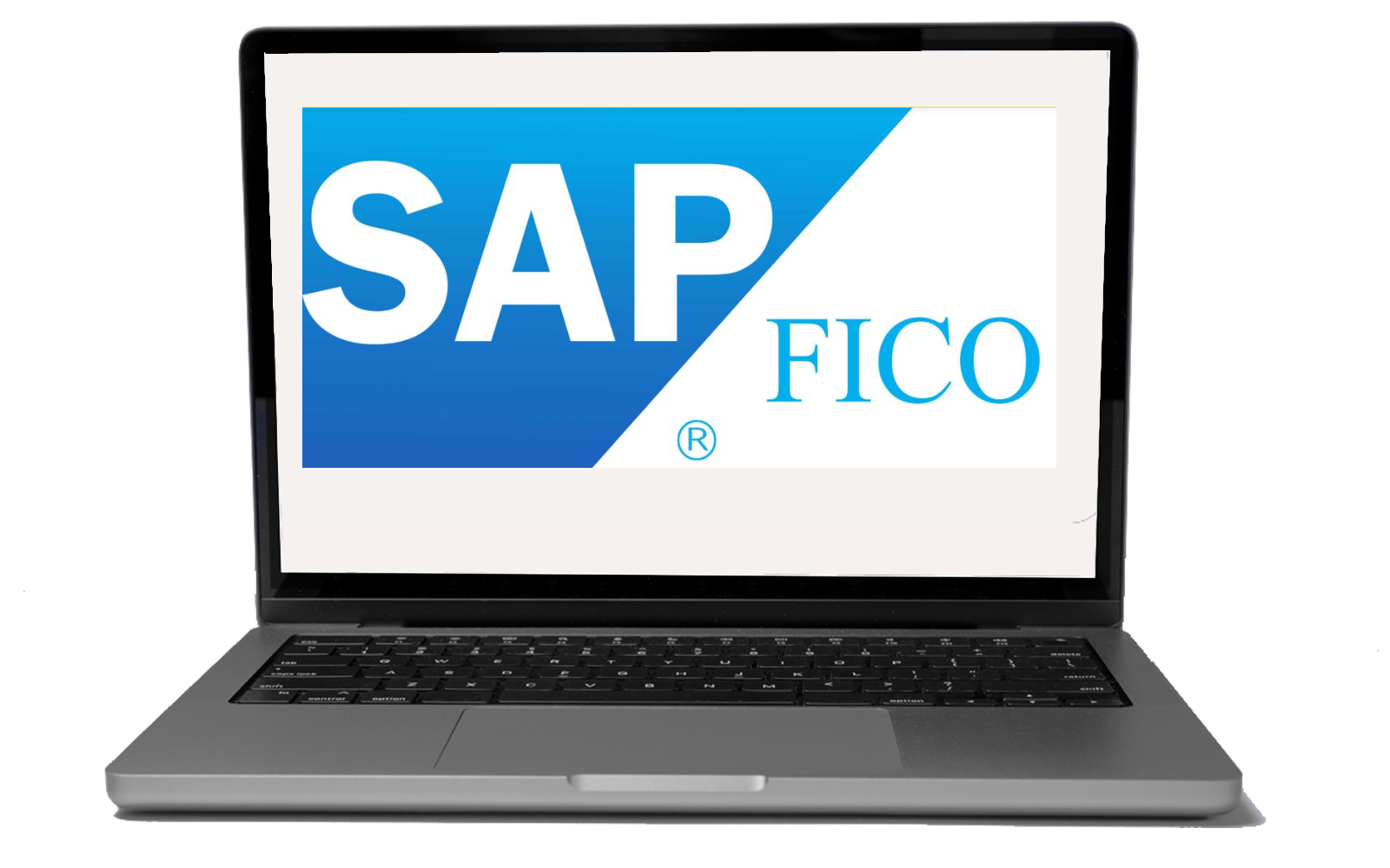 SAP FICO Solutions and Implementation | Financial Accounting Software