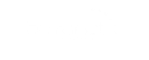 bayanat